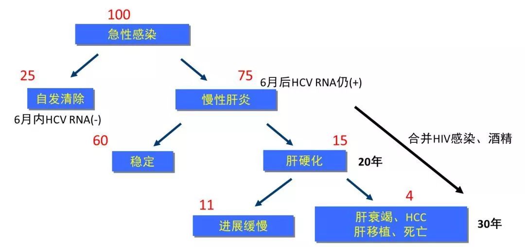 丙肝檢測(cè)的弱陽性究竟是不是感染了丙肝？